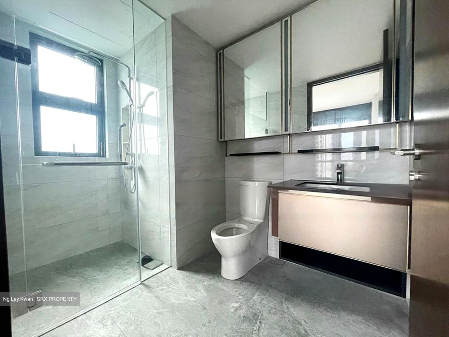 Normanton Park (D5), Apartment #467999631